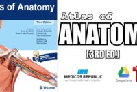 thieme atlas of anatomy in pdf