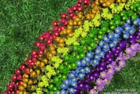 echte regenbogen blumen