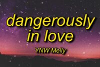 dangerously lyrics ynw melly