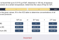 what dissolves in a solution