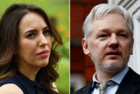 julian assange wife stella morris