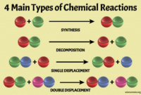 the starting substances of chemical reactions