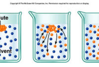 dissolved substance in a solution called