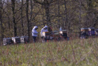 accueil paysan dans la loire