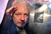 what information did julian assange release