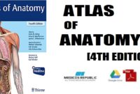 atlas of anatomy gilroy pdf