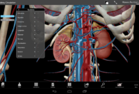 anatomy atlas free download