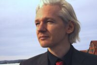 the case against julian assange