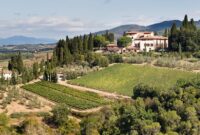 property for sale in greve in chianti italy