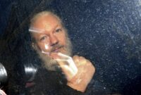 what did julian assange find