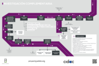 proceso ante la corte penal internacional