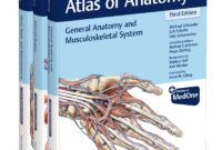 thieme atlas of anatomy 4th edition pdf free