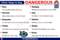 synonyms for dangerous behavior