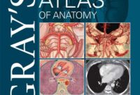 atlas of human anatomy latest edition pdf