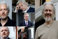 julian assange age