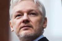 julian assange net worth 2024