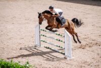 hindernis beim springreiten kreuzworträtsel