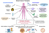 breast cancer treatment options processes