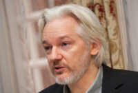 what did julian assange do