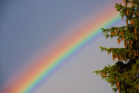 regenbogen farben bilder