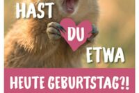 geburtstags bilder lustig