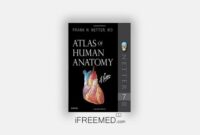 atlas of human anatomy 7th edition pdf