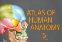 atlas of human anatomy pdf free download