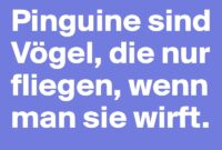 pinguine sind auch nur panda vögel