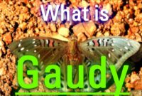 sentence with the word gaudy